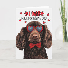 Boykin Spain Hund Made for Loving You Valentine Helgkort