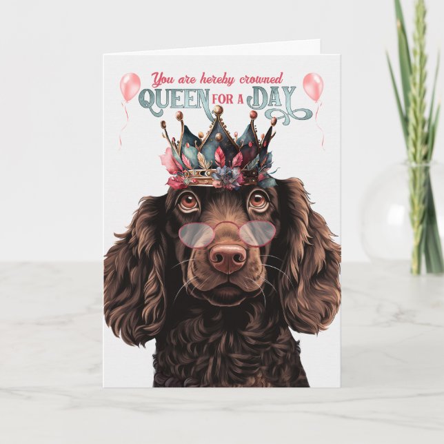 Boykin Spain Hund Queen for Day Funny Birthday Kort (Framsida)