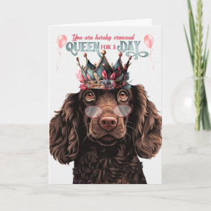 Boykin Spain Hund Queen for Day Funny Birthday Kort