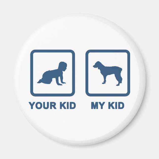 Boykin Spain Magnet (Framsidan)