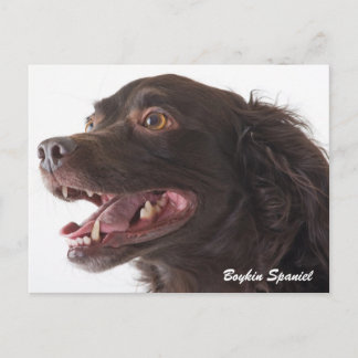 Boykin Spain Photo Post Card Vykort