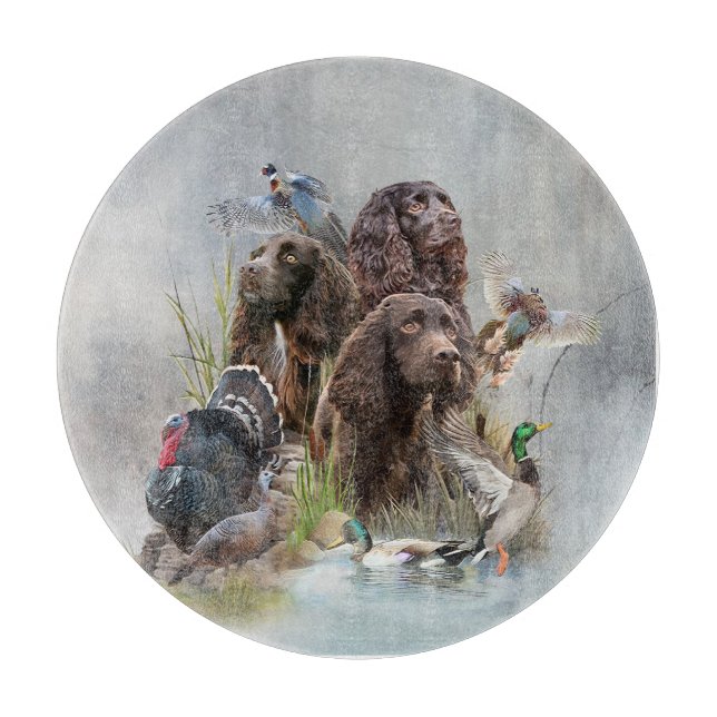 Boykin-spanelen (Framsidan)