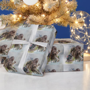 Boykin-spanelen Presentpapper