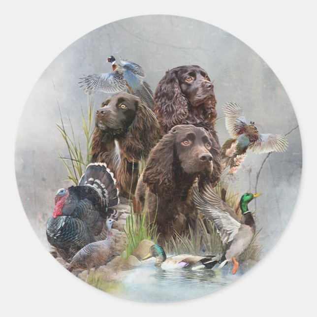 Boykin-spanelen Runt Klistermärke (Framsida)