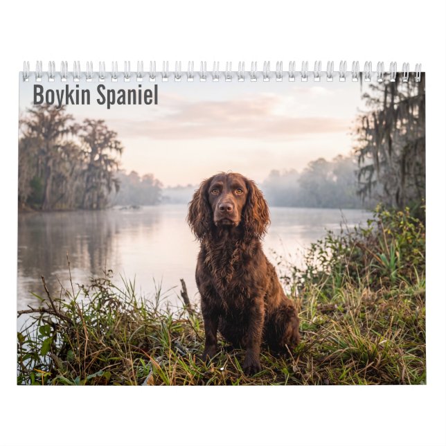 Boykin Spaniel 2027 Väggkalender Kalender (Omslag)