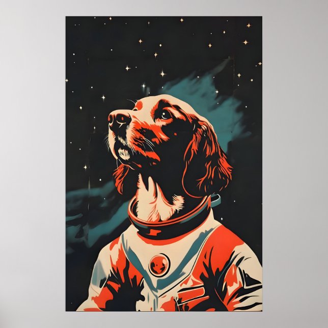 Boykin Spaniel Astronaut Poster, Boykin Spaniel Poster (Framsidan)