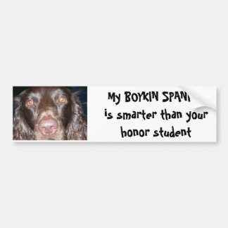 BOYKIN-SPANIEL BILDEKAL