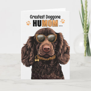 Boykin Spaniel Hund Underbarare HuMOM Mors dag Helgkort