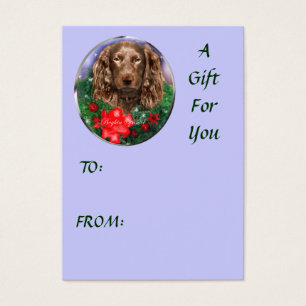 Boykin Spaniel Julpresent Namn Märken Visitkort