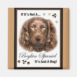 Boykin Spaniel Konst Gåvor Magnet