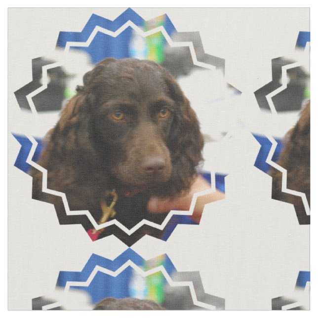 Boykin Spaniel Tyg (Närbild)
