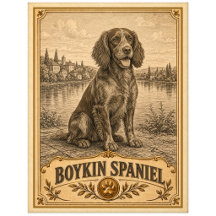 Boykin Spaniel, Vintage Heritage Hund