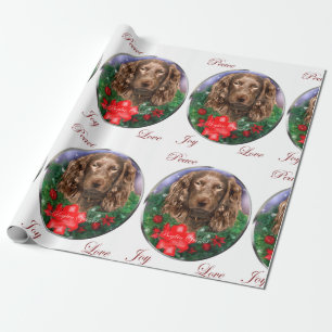 Boykin Spanielgod jul Presentpapper