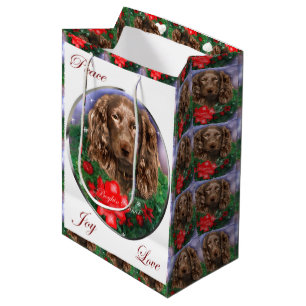 Boykin Spanieljul
