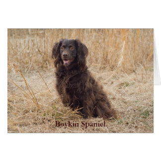 Boykin-spaningskort Hälsningskort