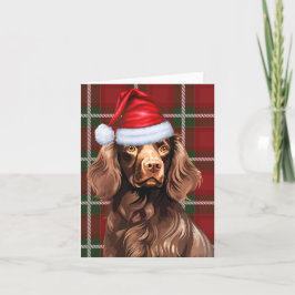 Boykin Spansk Jul-Hund Red Play-jul Helgkort