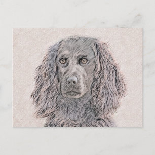 Boykin Spanska målning - Cute Original Hund Art Vykort