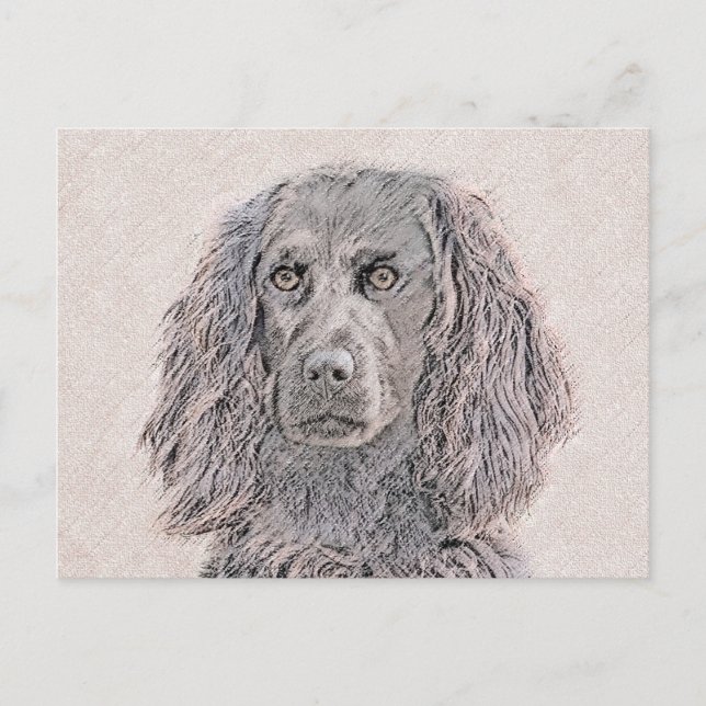Boykin Spanska målning - Cute Original Hund Art Vykort (Framsida)