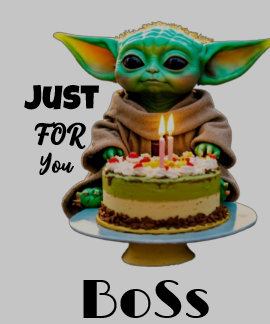 Boys Hoodies & Sweatshirtss T Shirt