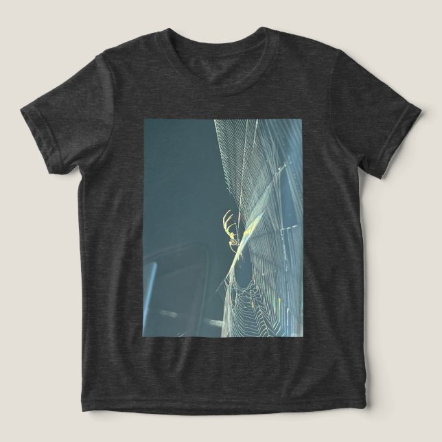 Boys Spider T Shirt (Design Framsida)