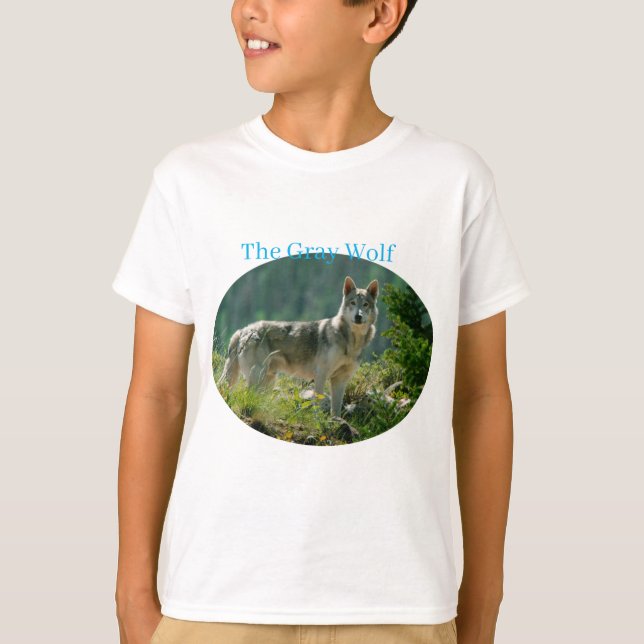 Boys T-Shirt (Framsida)