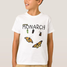 Boys the Monarch Life Cycle