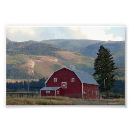 Bozeman, Montana, Barn Fototryck