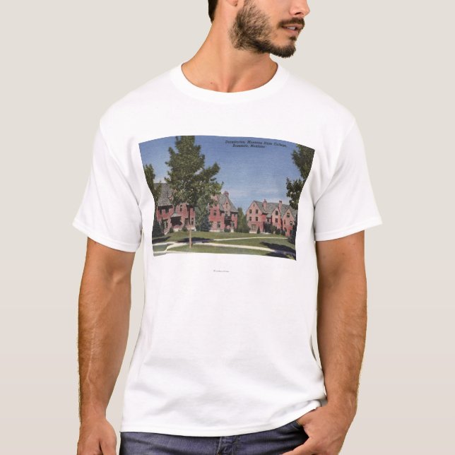 Bozeman Montana - sovsalar på statliga Montana T-shirt (Framsida)