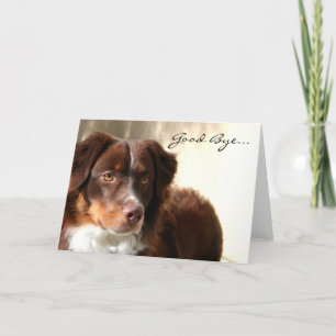 Bra Adjö Australian shepherd hälsningskort Kort