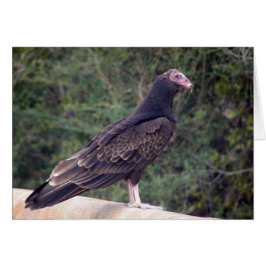 Bra att du mår bättre hälsningskort