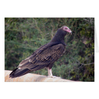 Bra att du mår bättre hälsningskort