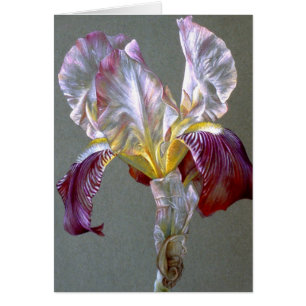 bra av flagga Iris botaniska blommor, ej ifyllt ko Hälsningskort