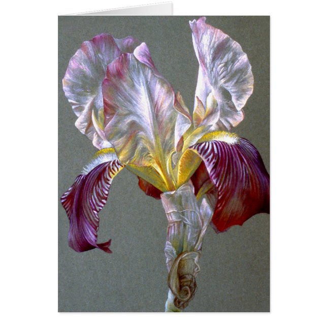 bra av flagga Iris botaniska blommor, ej ifyllt ko Hälsningskort (Framsidan)