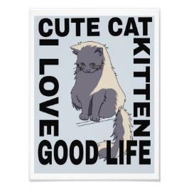 Bra av katt fototryck