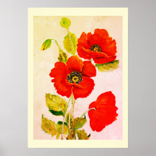 Bra av rödpoppies poster