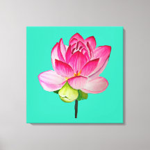 bra av vattenfärgen rosa lotus blomma