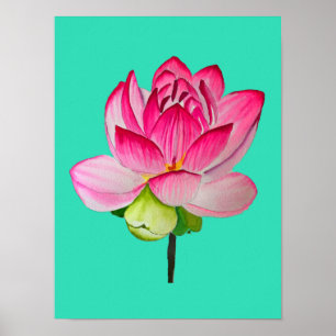 bra av vattenfärgen rosa lotus blomma poster