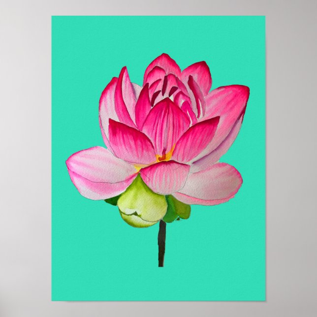 bra av vattenfärgen rosa lotus blomma poster (Framsidan)
