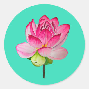 bra av vattenfärgen rosa lotus blomma runt klistermärke