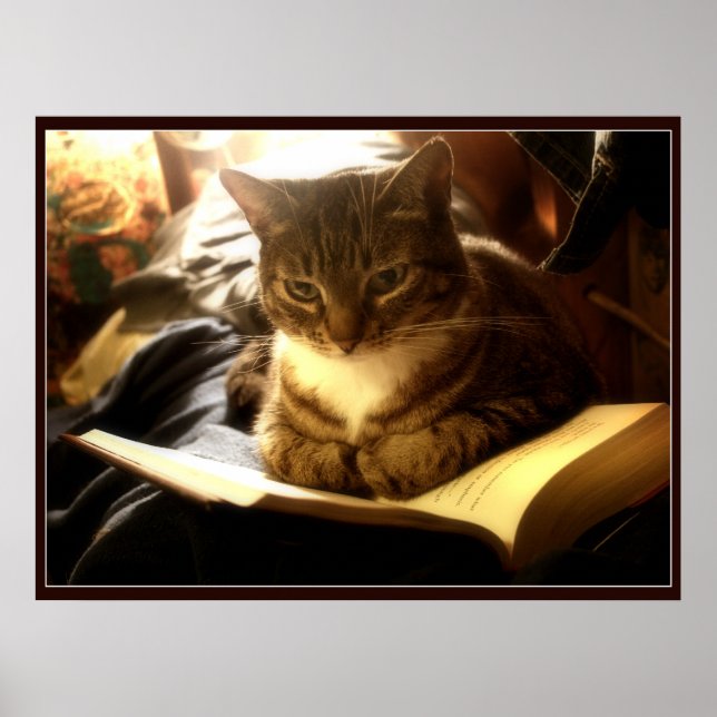 Bra Bok Poster (Framsidan)