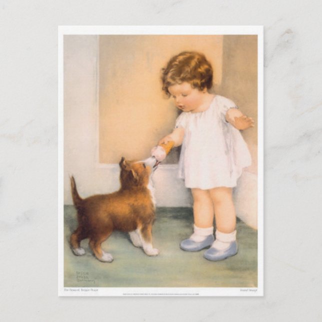 Bra Boy! Gräns Collie vykort (Framsida)