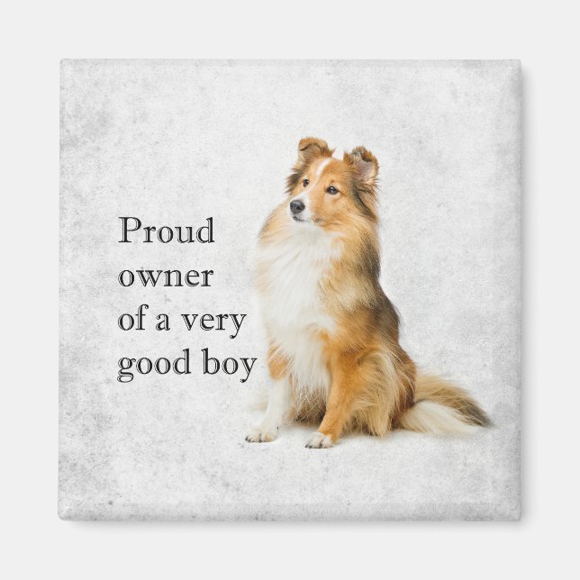 Bra Boy Sheltie Magnet (Framsidan)