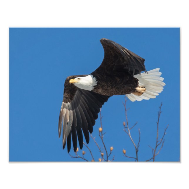 Bra Dam Fototryck (Framsidan)