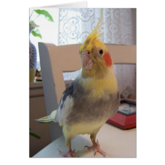 Bra fågel hälsningskort