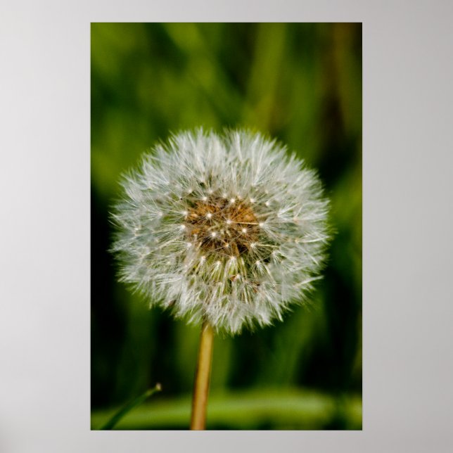 Bra, glöd mig poster (Framsidan)