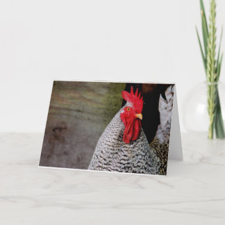 Bra God morgon, Elmer! Kort