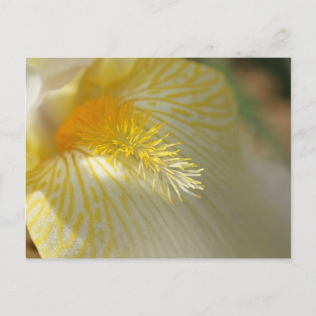 Bra God morgon, Iris! Vykort (Framsida)