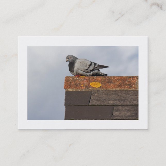 Bra God morgon Pigeon (Borderade) Visitkort (Framsida)