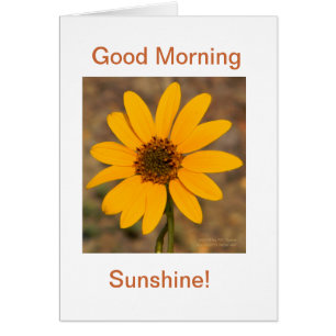 Bra God morgon, Sunshine! OBS Kort