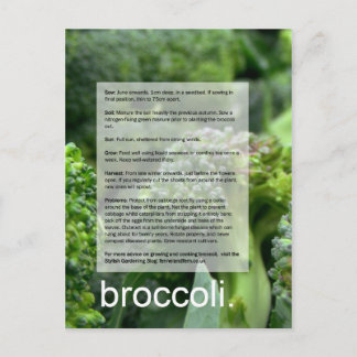 Bra Growing Guide: Broccoli och radishes Vykort